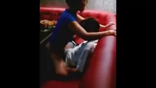 नाजुक केटी एक विशाल आबनूस कुखुरा मा सानो बिल्ली imples