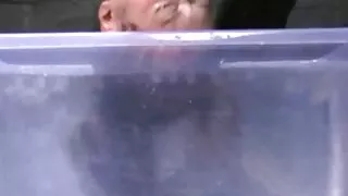 रूसी रेडहेड केटी निगल सह पछि कमबख्त कुकुर शैली